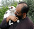 Πάρος: Ο ιερέας στειρώνει τις αδέσποτες ψιψίνες που φροντίζει